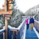 Baumzipfelweg und Golden Gate der Alpen Saalbach Hinterglemm | © Mirja Geh Baumzipfelweg und Golden Gate der Alpen Saalbach Hinterglemm | © Mirja Geh