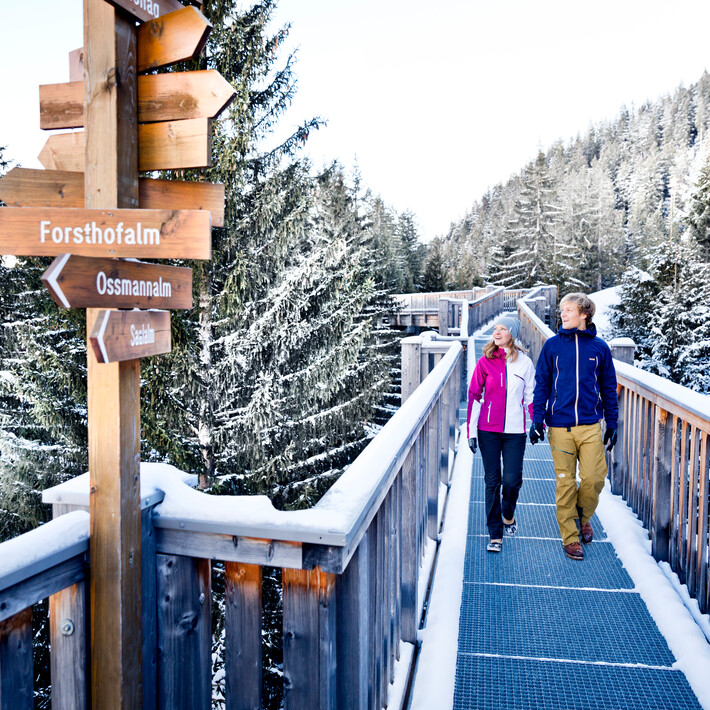 Baumzipfelweg und Golden Gate der Alpen Saalbach Hinterglemm | © Mirja Geh Baumzipfelweg und Golden Gate der Alpen Saalbach Hinterglemm | © Mirja Geh