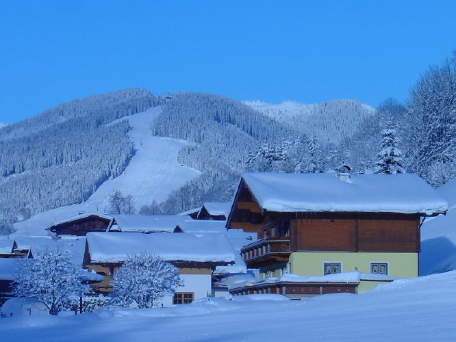 T00113.jpg