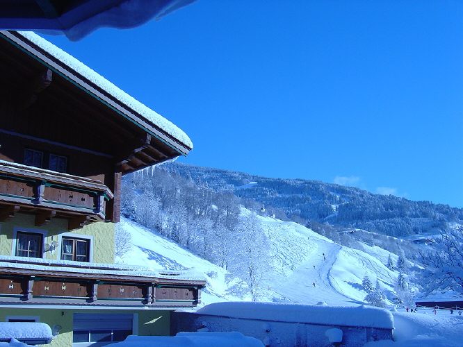 T00206.jpg