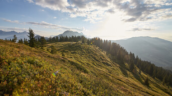 © daniel roos / saalbach.com