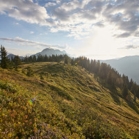 © daniel roos / saalbach.com