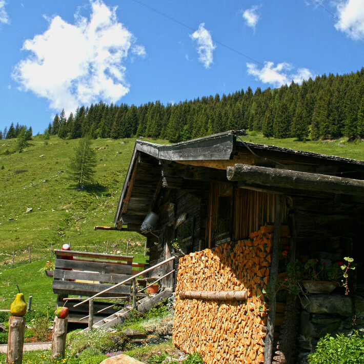 "Alm Ladl" | © gesa.mt Marketing