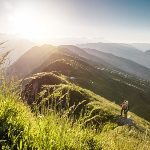 Wanderung in der Sommerlandschaft der Glemmtaler Berge