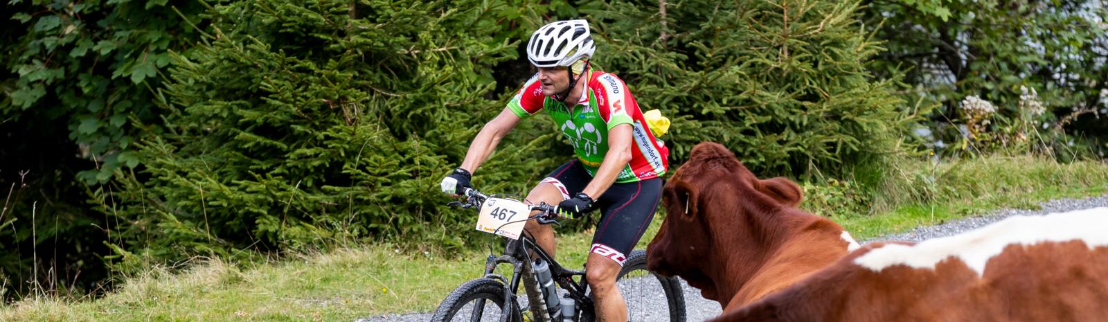 © saalbach.com / Martin Steiger