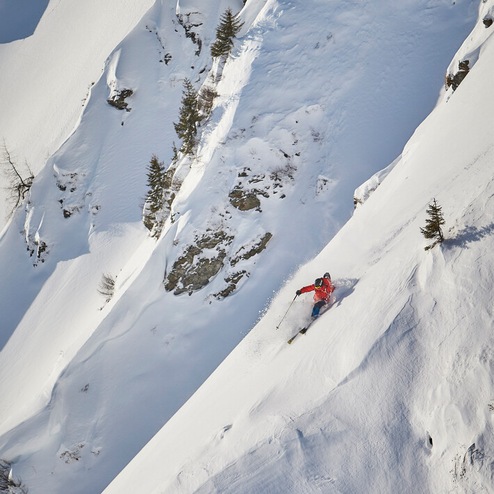 © MT-Experts / Daniel Roos © MT-Experts / Daniel Roos