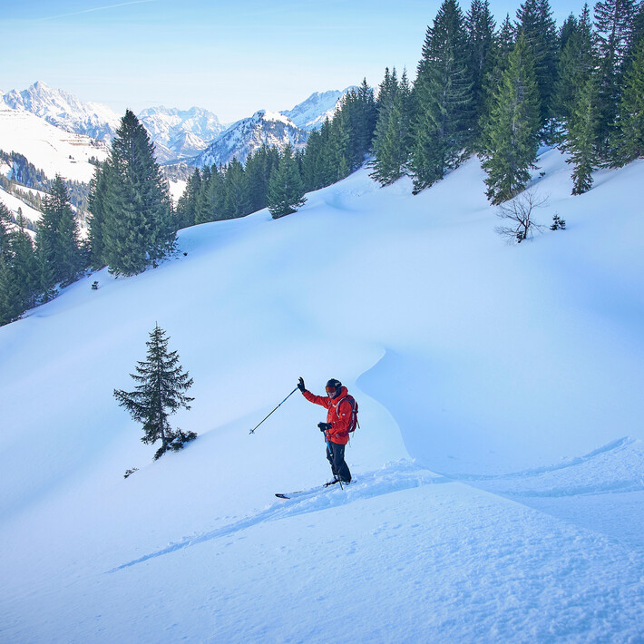 © MT-Experts / Daniel Roos © MT-Experts / Daniel Roos