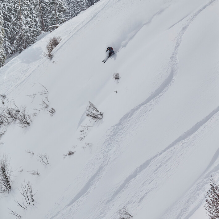 © MT-Experts / Daniel Roos © MT-Experts / Daniel Roos