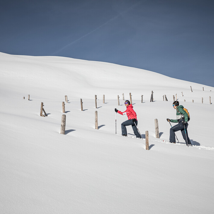 Schneeschuhwandern
