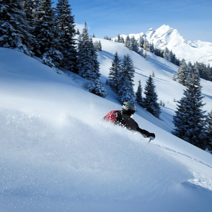 Hochalm Nordseite | © The Freeride Experience