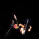 Freestyle Show Night Saalbach | © Linda Zechmeister