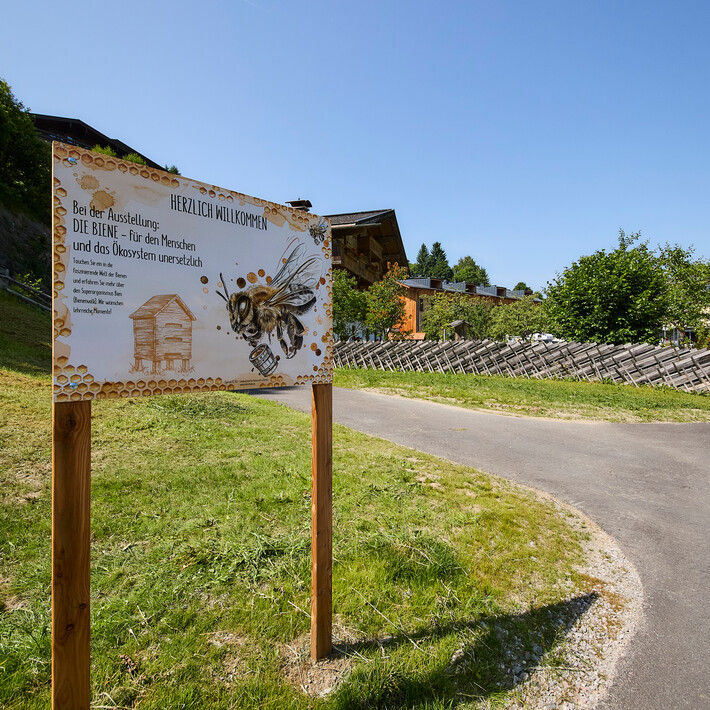 Bienenlehrpfad  | © Daniel Roos 