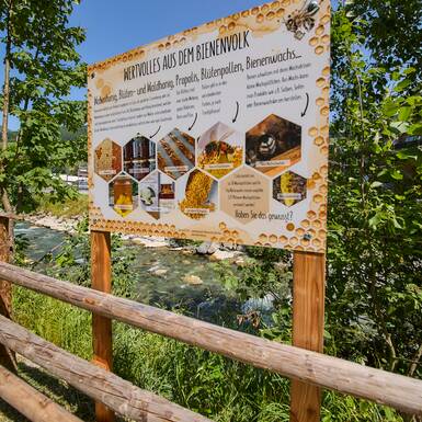 Bienenlehrpfad | © Daniel Roos 