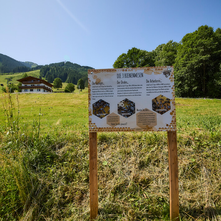Bienenlehrpfad  | © Daniel Roos
