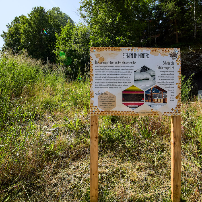 Bienenlehrpfad | © Daniel Roos 