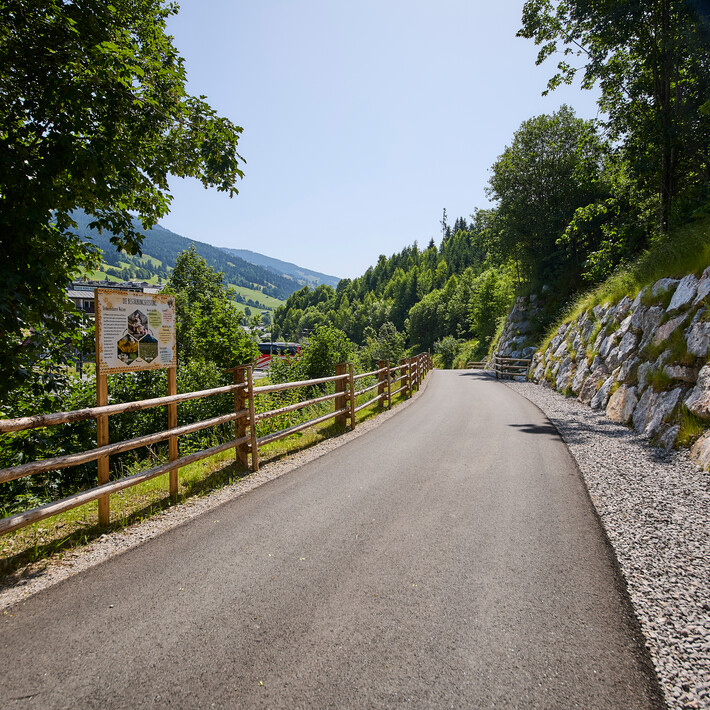 Bienenlehrpfad | © Daniel Roos