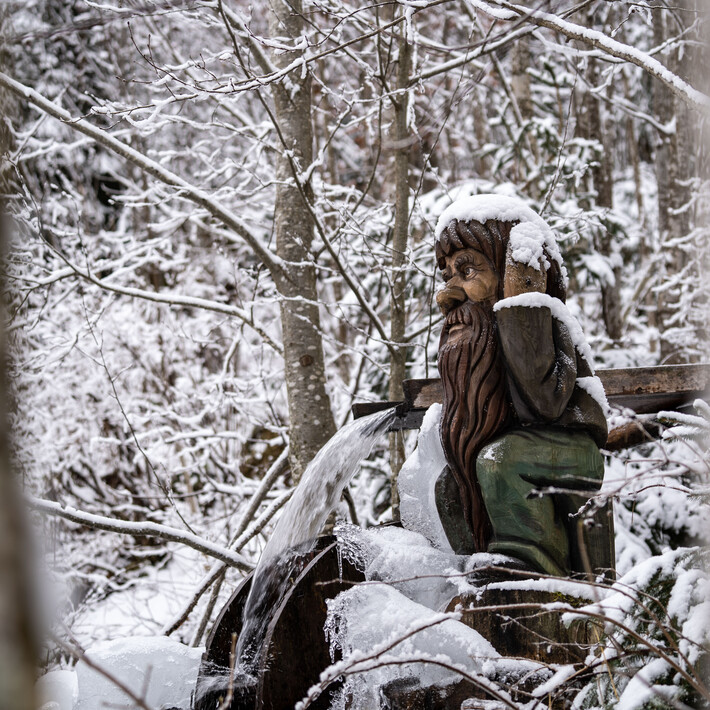 Märchenwald Hinterglemm | © Luka Senica Märchenwald Hinterglemm | © Luka Senica