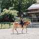 Reiterlebnis beim Unterschwarzachhof | © Jasmin Stanonik