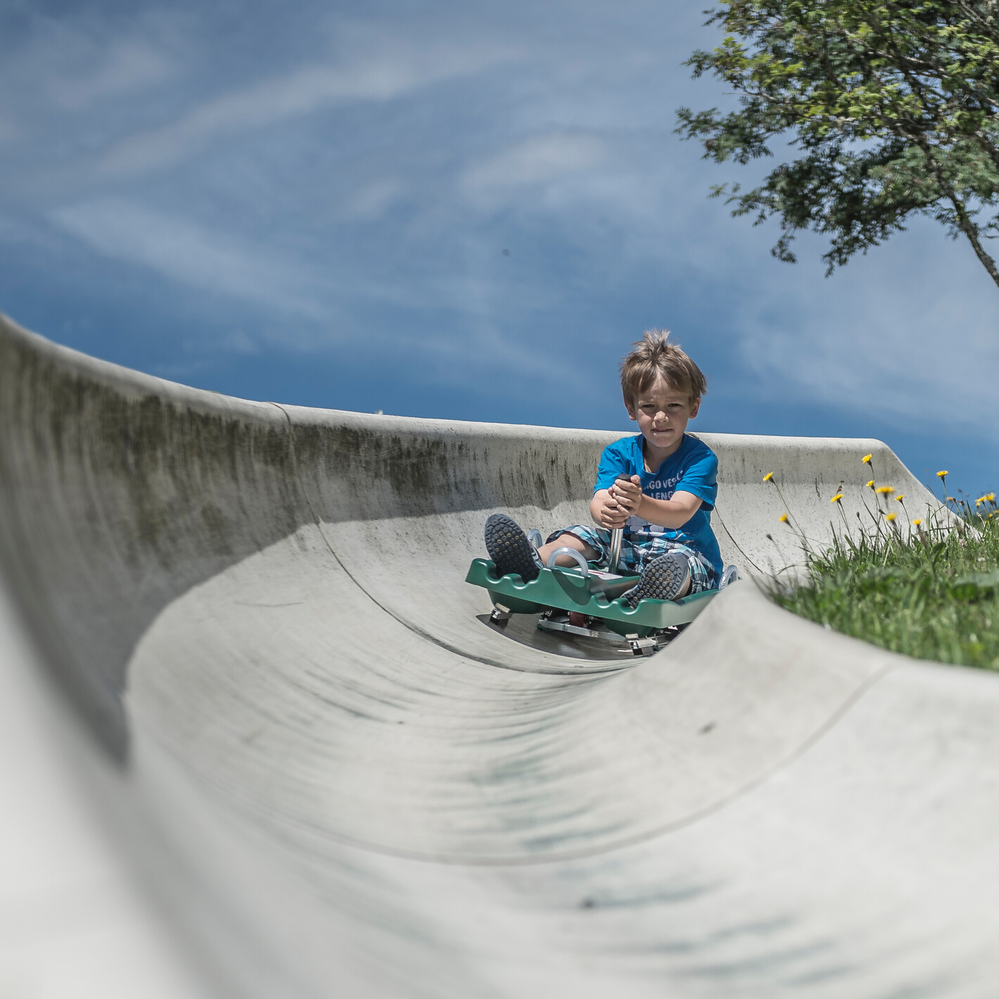 Summer Tobogganing Saalfelden Infrastructure in Saalbach