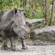 © ZooSBG _ Angie Köppl © ZooSBG _ Angie Köppl