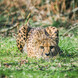 © ZooSBG _ Angie Köppl © ZooSBG _ Angie Köppl