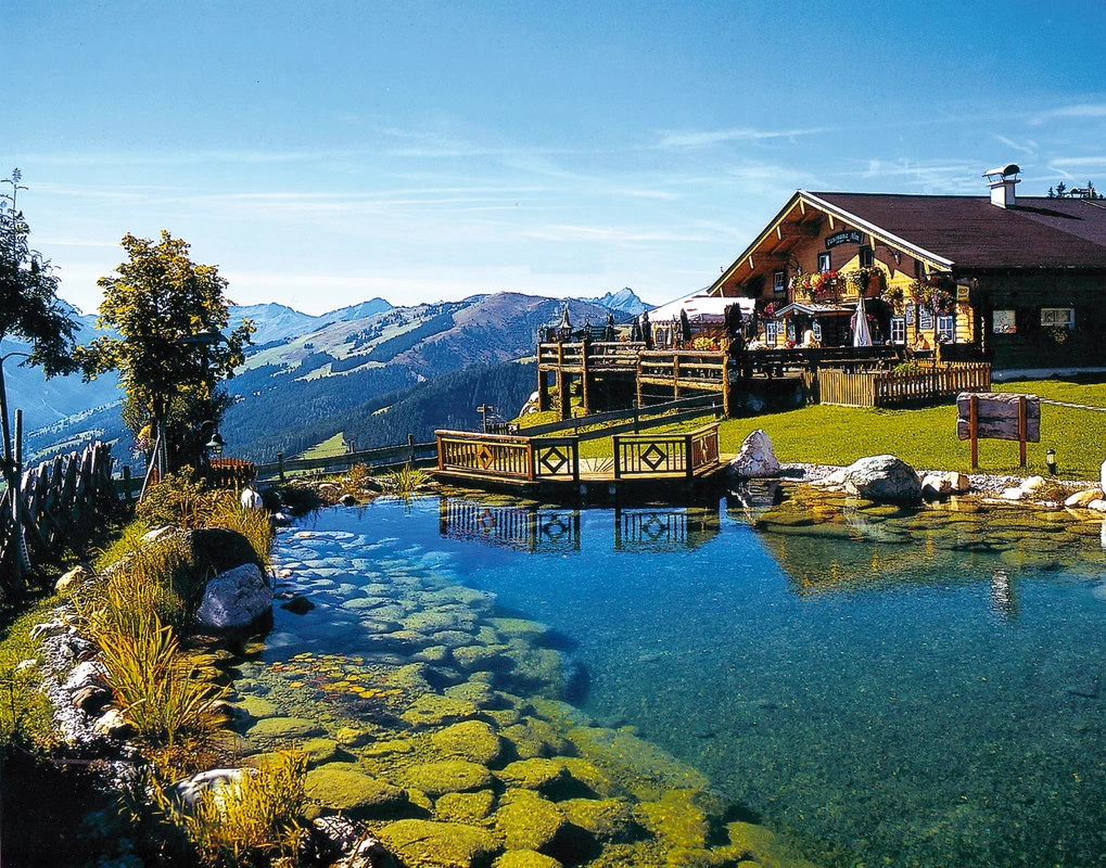 Panorama Alm  Infrastructure in Saalbach Hinterglemm