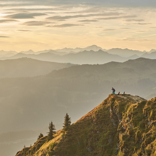 Herbstwanderung | © saalbach.com , Daniel Roos