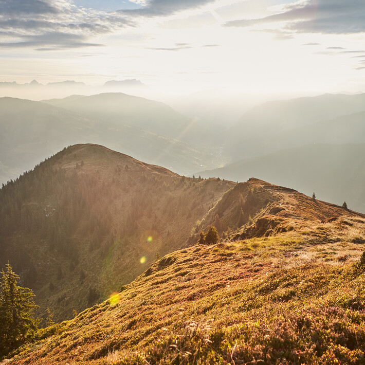 Herbstwanderung | © saalbach.com , Daniel Roos