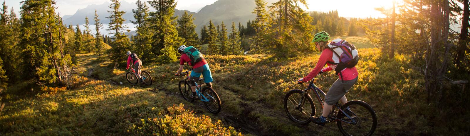 Saalbach Sommer Bike Enduro Downhill 