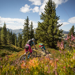 Saalbach Sommer Bike Enduro Downhill Saalbach Sommer Bike Enduro Downhill