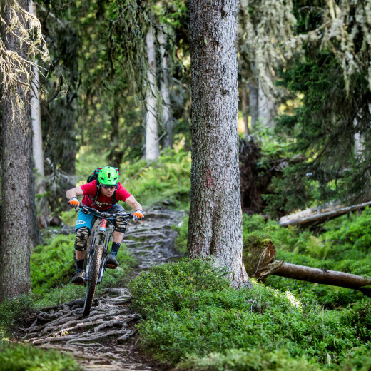 Saalbach Sommer Bike Enduro Downhill Wurzel Trail