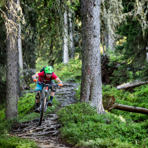Saalbach Sommer Bike Enduro Downhill Wurzel Trail