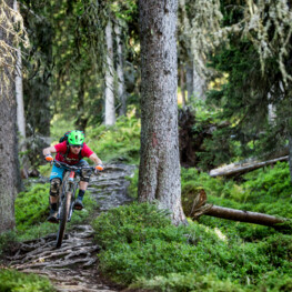 Saalbach Sommer Bike Enduro Downhill Wurzel Trail