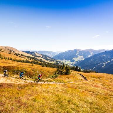 Mountain biking | Summer activities Saalbach Hinterglemm