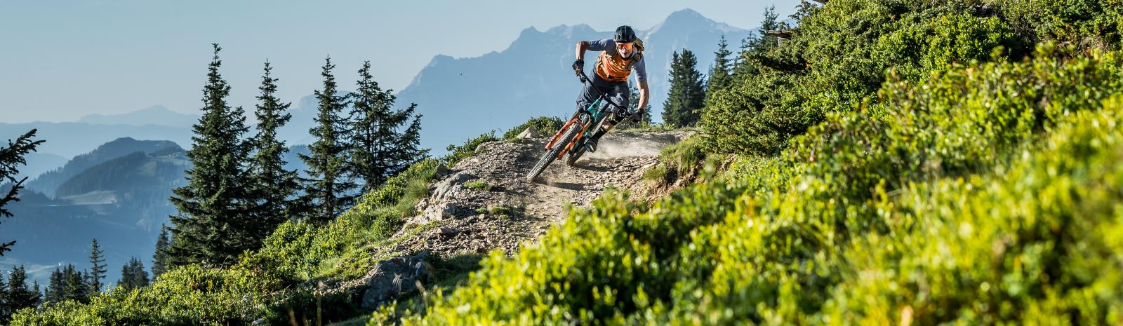 downhill parks