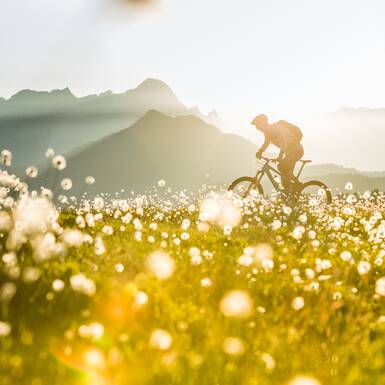 Enduro in Saalbach | © saalbach.com, Hansi Heckmair Enduro in Saalbach | © saalbach.com, Hansi Heckmair