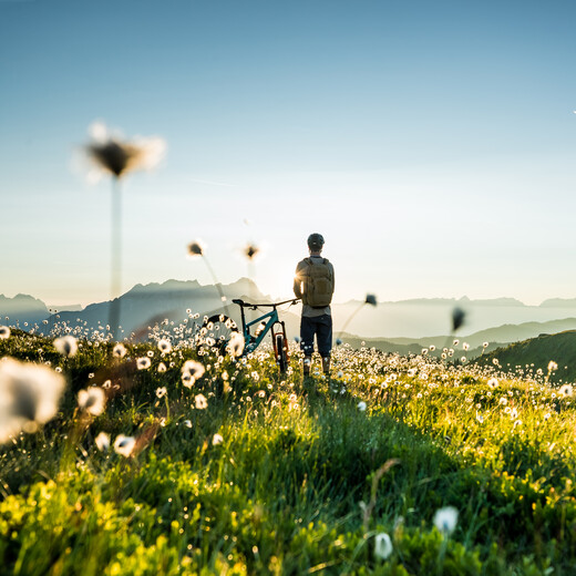 Biker in der Landschaft von Saalbach Hinterglemm | © saalbach.com, Hansi Heckmair