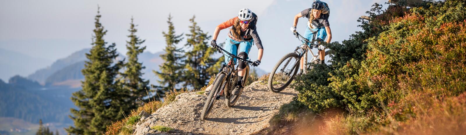 big 5 mountain bikes