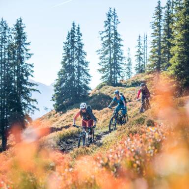 downhill mountain biking