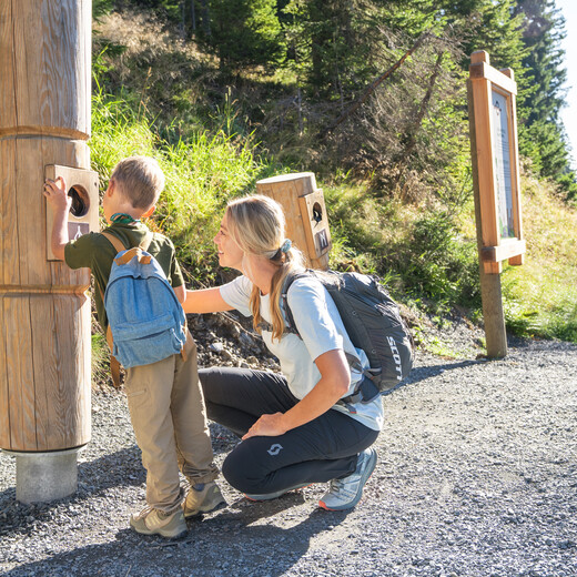Kodoks Abenteuer am Reiterkogel | © Karin Pasterer