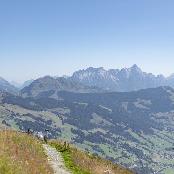 Pfad der Sieger | © Andreas Putz