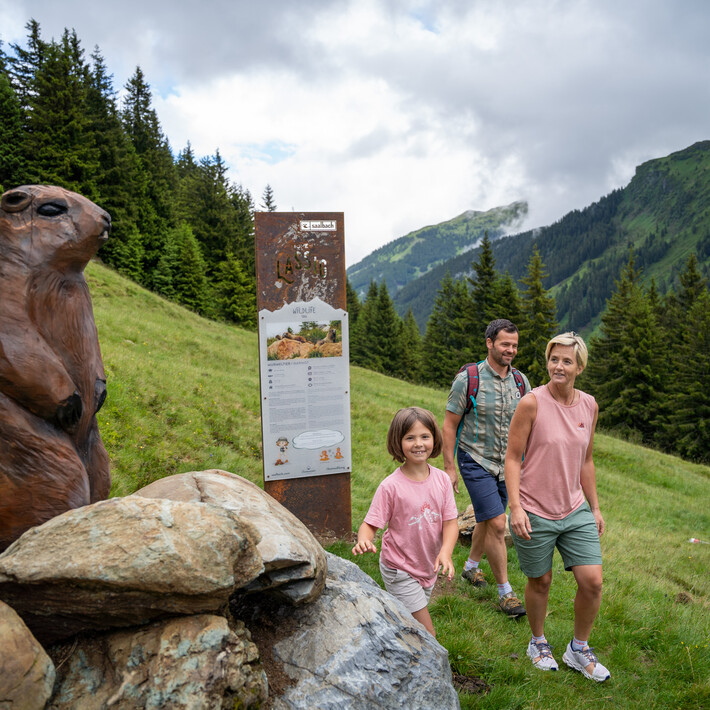 Wildlife Trail Saalbach Hinterglemm | © Lukas Pilz Wildlife Trail Saalbach Hinterglemm | © Lukas Pilz