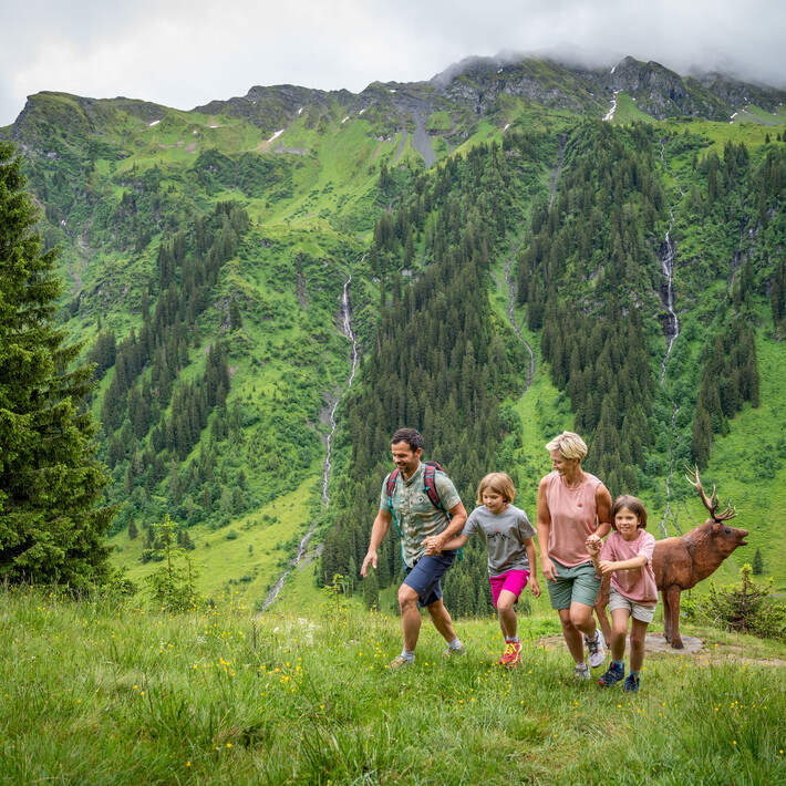 Wildlife Trail Saalbach Hinterglemm | © Lukas Pilz Wildlife Trail Saalbach Hinterglemm | © Lukas Pilz