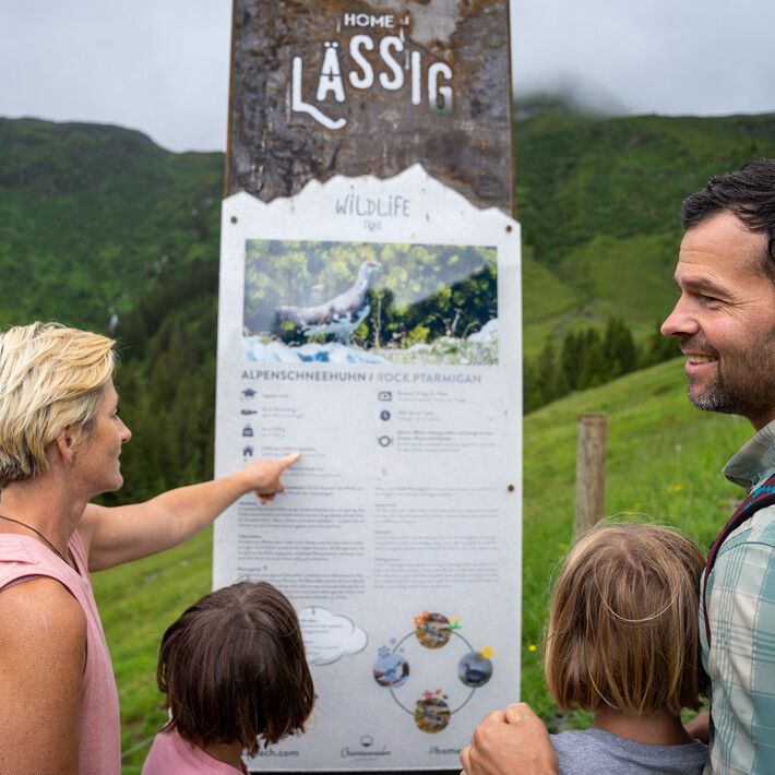 Wildlife Trail Saalbach Hinterglemm | © Lukas Pilz Wildlife Trail Saalbach Hinterglemm | © Lukas Pilz