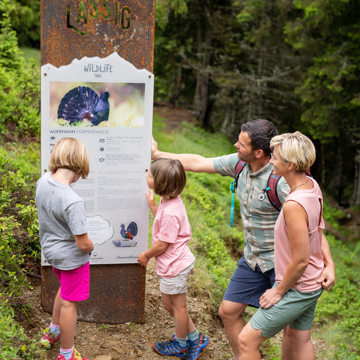 Wildlife Trail Saalbach Hinterglemm | © Lukas Pilz Wildlife Trail Saalbach Hinterglemm | © Lukas Pilz