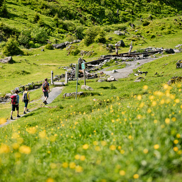 Auf und abseits der Pfade Auf und abseits der Pfade