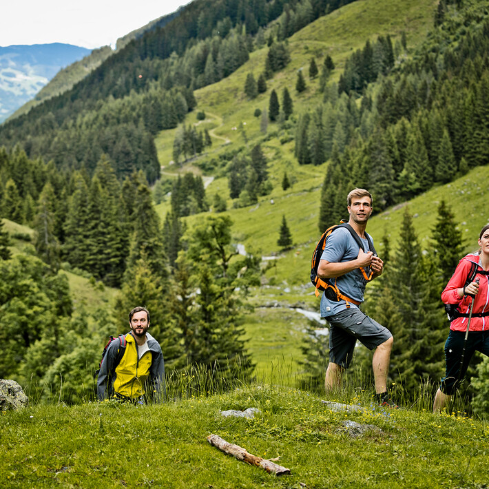 Wandern in den Pinzgauer Grasbergen