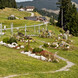 Heilkräuterweg Saalbach Hinterglemm | © Mirja Geh Heilkräuterweg Saalbach Hinterglemm | © Mirja Geh