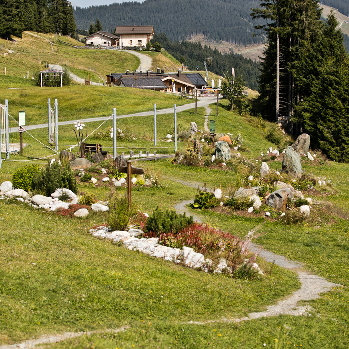 Heilkräuterweg Saalbach Hinterglemm | © Mirja Geh Heilkräuterweg Saalbach Hinterglemm | © Mirja Geh