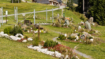 Heilkräuterweg Saalbach Hinterglemm | © Mirja Geh